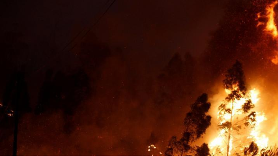 Αναγγελία δυνατών ανέμων – Αυξημένος κίνδυνος πυρκαγιάς αύριο Παρασκευή 10 Αυγούστου – Οδηγίες προς τους πολίτες