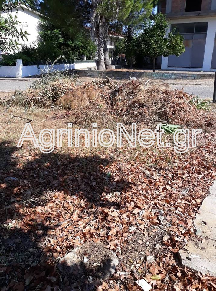 Ξερά χόρτα, σκουπίδια και κλαδιά στα ηλεκτροφόρα καλώδια στις εργατικές Δοκιμίου