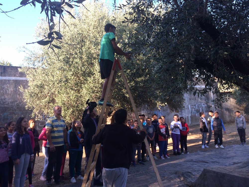 ‘Λιομάζεμα’ στο Δημοτικό σχολείο Δοκιμίου σε συνεργασία με τους γεωπόνους του Τμήματος Αγροτικής Παραγωγής