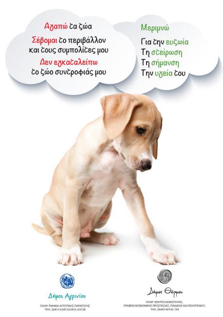 Ποιες είναι οι υποχρεώσεις για τα ζώα συντροφιάς