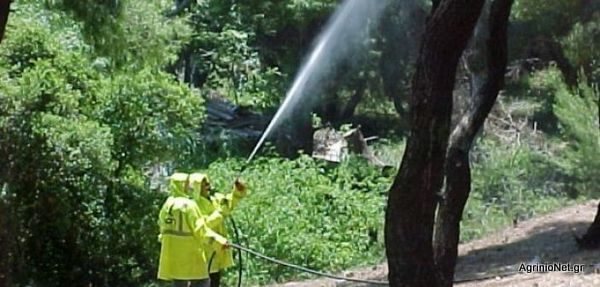 ΔΑΟΚ Αιτωλοακαρνανίας: Αναστολή των διαγωνιστικών διαδικασιών για τη δακοκτονία