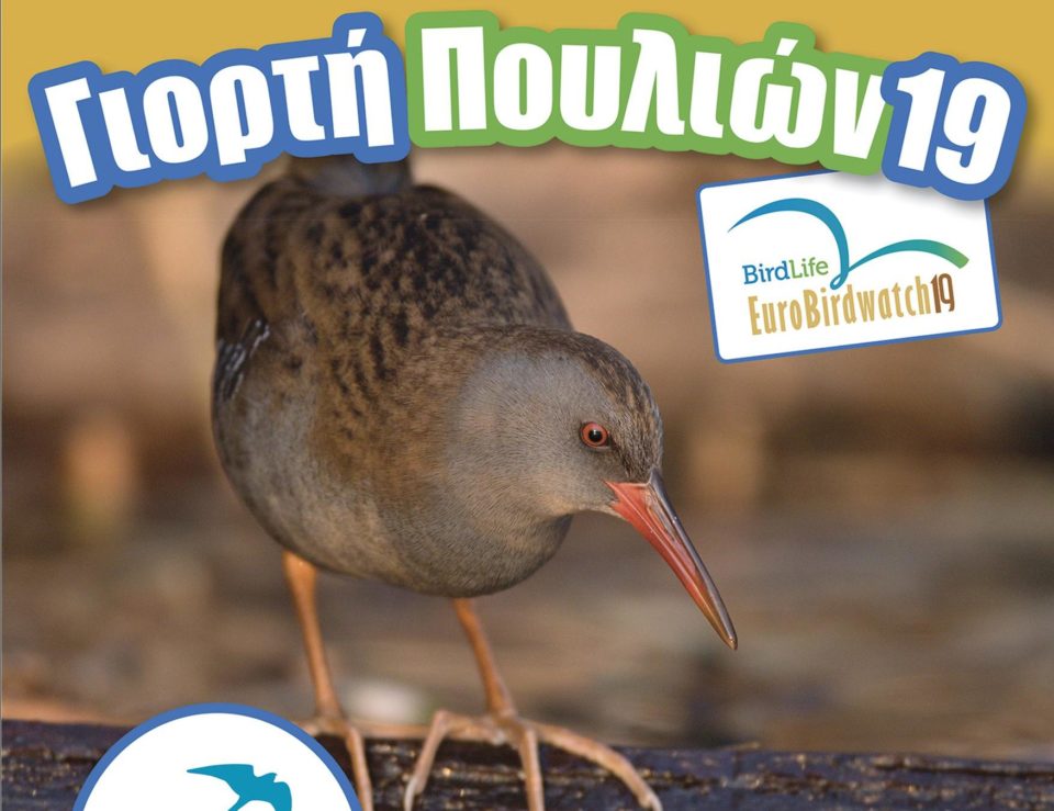 Ο Φορέας Διαχείρισης για την Ευρωπαϊκή Γιορτή των Πουλιών στην Παπαστράτειο Δημοτική Βιβλιοθήκη