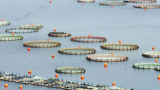 Εργατικό ατύχημα στις εγκαταστάσεις του Ιχθυογεννητικού Σταθμού «ΝΗΡΕΑ Α.Ε»