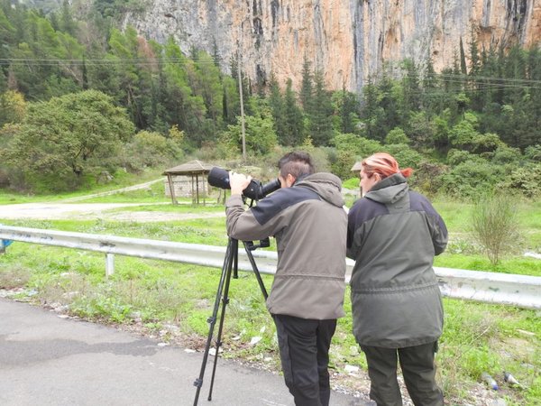 Καταγραφή όρνιων από τον Φορέα Διαχείρισης