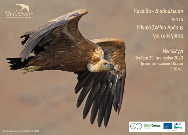 Πρόσκληση σε Ημερίδα – Διαβούλευση για το Εθνικό Σχέδιο Δράσης για τους γύπες στο Μεσολόγγι