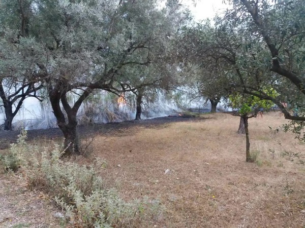 Κανδήλα: Φωτιά σε κατοικημένη περιοχή (ΔΕΙΤΕ ΦΩΤΟ)