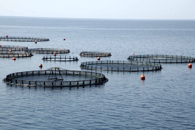 Να ακυρωθεί η προωθούμενη ΠΟΑΥ για την άναρχη και καταστροφική επέκταση των ιχθυοκαλλιεργειών στο παράκτιο Ξηρόμερο, Αστακό, Μυτικα, Κάλαμο, Καστό.