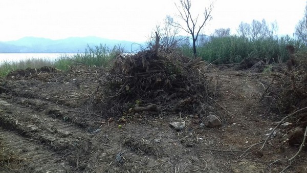 Η αλήθεια για τις επιχωματώσεις στην λίμνη Τριχωνίδα από « αντιπλημμυρικά» έργα και η προστασία της περιοχής του δικτύου Natura 2000.   