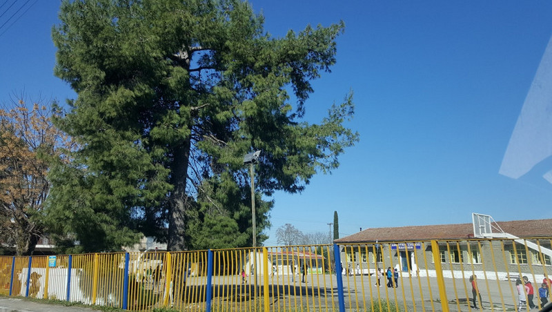 Κρούσμα κορωνοϊού σε εκπαιδευτικό στο Δημοτικό Σχολείο Καλυβίων