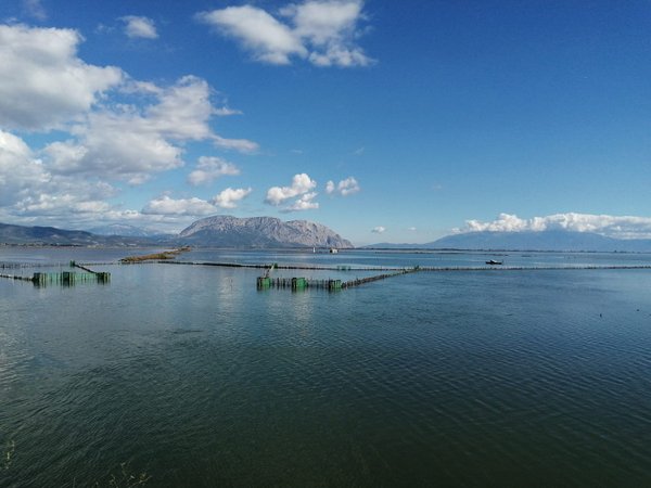 Κώστας Λύρος:  «Η Λιμνοθάλασσα είναι ο ζωτικός μας χώρος»