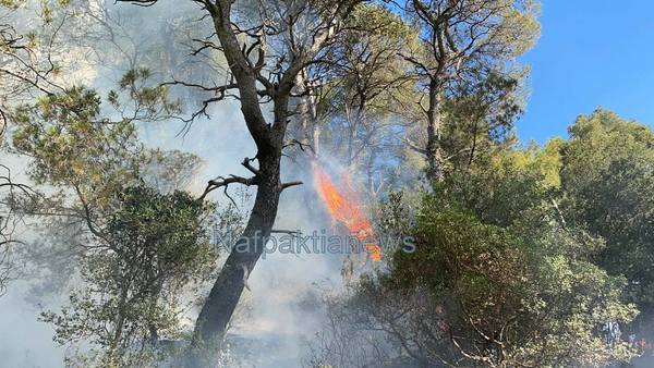 Πυρκαγιά στο Τρίκορφο Ναυπακτίας (VIDEO)