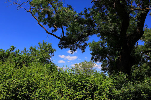 Σε ποιες περιοχές της Π.Δ.Ε. θα ισχύουν απαγορεύσεις κυκλοφορίας οχημάτων και παραμονής εκδρομέων κατά τις ημέρες υψηλού κινδύνου πυρκαγιάς