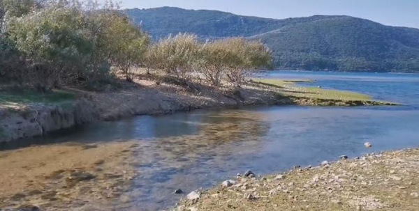 «Έσπασε ο Ρίβιος»