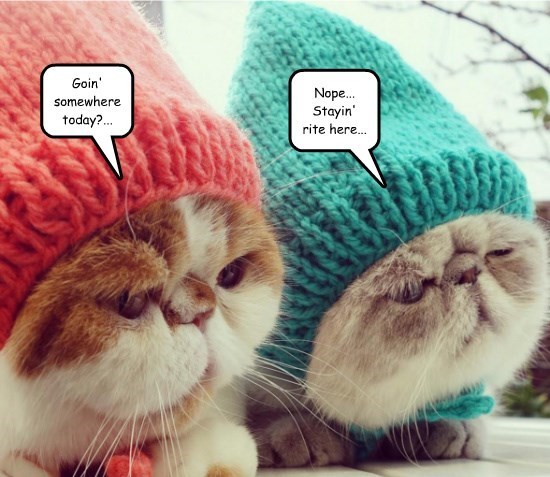 Ποιοι έκαναν την «ανάγκη … φιλοτιμία»;