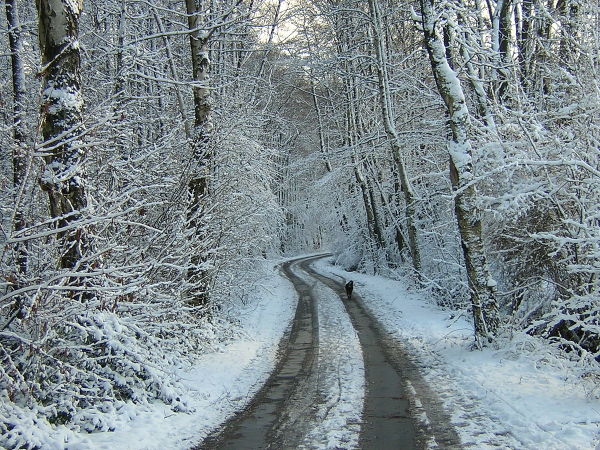 Πολύ χαμηλές θερμοκρασίες σε όλη τη χώρα – Έκτακτο Δελτίο Επικίνδυνων Καιρικών Φαινομένων