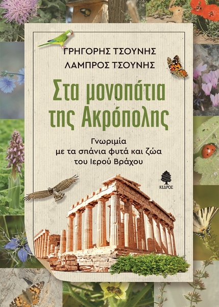 «Στα μονοπάτια της Ακρόπολης»