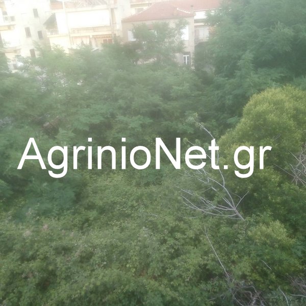 Ακαθάριστο οικόπεδο εστία μόλυνσης, βραδυφλεγής βόμβα στο κέντρο του Αγρινίου