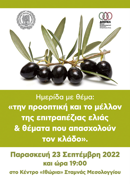 Την Παρασκευή η Ημερίδα για την ελιά στη Σταμνά / Το πρόγραμμα