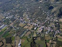 Ζευγαράκι: συνελήφθησαν επ’ αυτοφώρω 3 άτομα να διενεργούν παράνομη υλοτομία