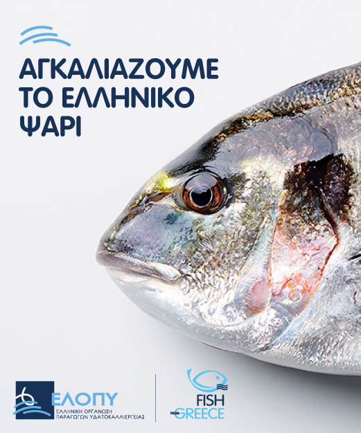 Αγγαλιάζουμε το Ελληνικό ψάρι - ΕΛΟΠΥ| agrinionet.gr