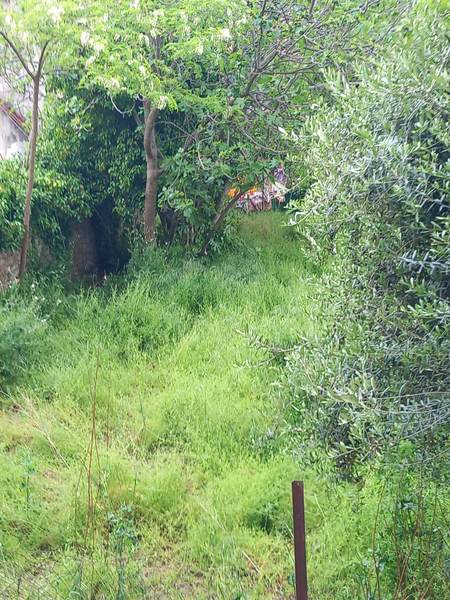 Καθαρισμός ιδιωτικών οικοπέδων και λοιπών χώρων