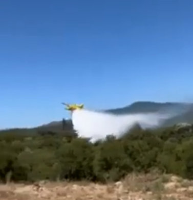 Φωτιά στη Μαχαιρά έκαψε 100 στρέμματα VIDEO