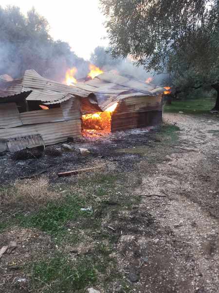 Ξηρόμερο: επικίνδυνη φωτιά ξέσπασε στην τοποθεσία Πλυμέλια στο Αρχοντοχώρι