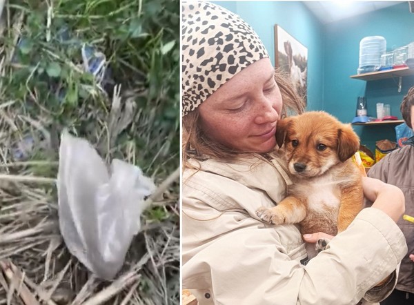 Άνθρωπος – τέρας έδεσε σκυλάκι σε σακούλα για να βρει μαρτυρικό θάνατο – Το διέσωσαν Πολωνοί ποδηλάτες (video)