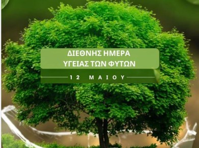 «Διεθνής Ημέρα Υγείας των Φυτών»