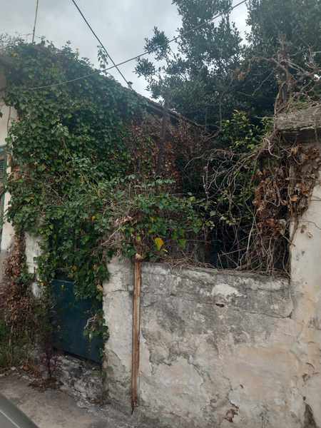 Αγρίνιο: κίνδυνος πυρκαγιάς από ακαθάριστα οικόπεδα