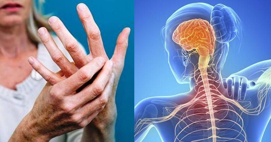 30 Μαΐου: «Παγκόσμια Ημέρα για την Σκλήρυνση Κατά Πλάκας»