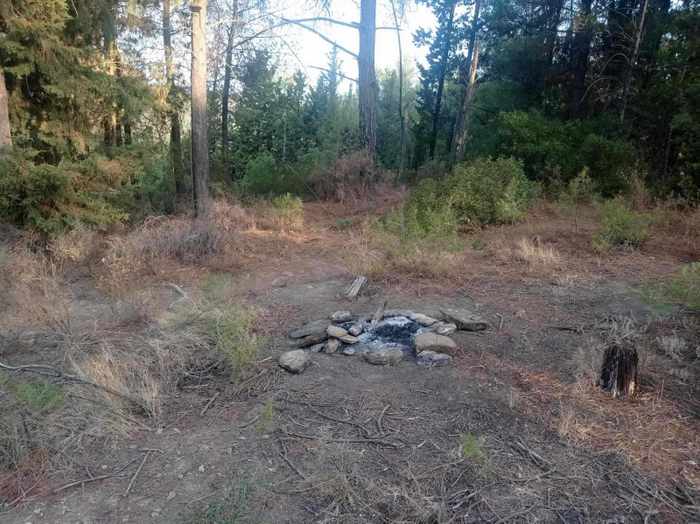 Αγρίνιο: Εξωφρενικό! – Άναψαν φωτιά στο δασύλλιο του Αγίου Χριστοφόρου (εικόνες)