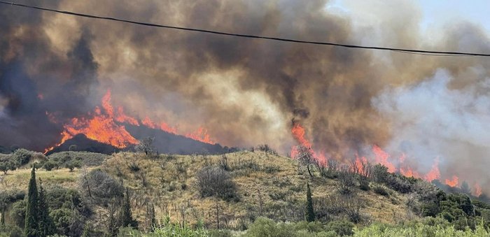 Παράταση έως 5/8 για τις δηλώσεις των πληγέντων της πυρκαγιάς στο Μολύκρειο