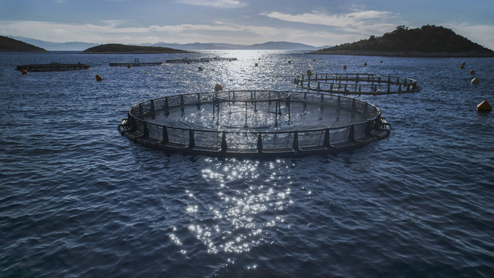 H Ελληνική Οργάνωση Παραγωγών Υδατοκαλλιέργειας (ΕΛΟΠΥ)   και ο Οργανισμός Aquaculture Advisory Council (ΑSC),  υποδέχονται στην Ελλάδα διεθνές κλιμάκιο  αγοραστών ιχθυηρών και δημοσιογράφων γεύσης
