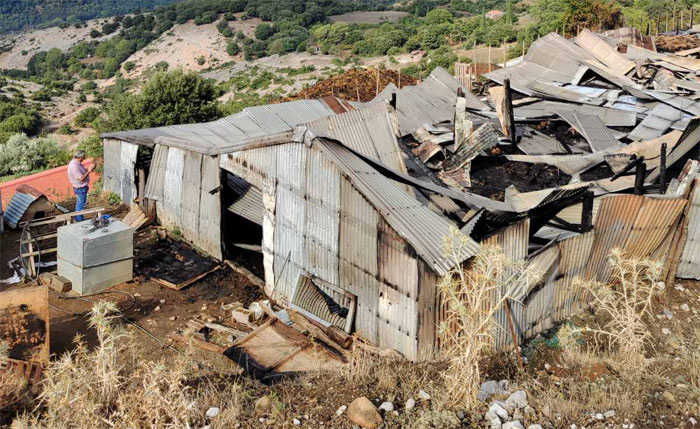 Αμφιλοχία: Κεραυνός εξαφανίζει στάβλο και σκοτώνει 150 πρόβατα