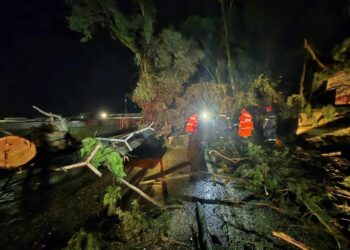 Αγρίνιο: ανεμοστρόβιλος ξερίζωσε δέντρα στο ΔΑΚ. Μεγάλες ζημιές και σε ΙΧ