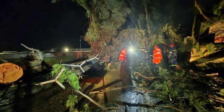 Αγρίνιο: ανεμοστρόβιλος ξερίζωσε δέντρα στο ΔΑΚ. Μεγάλες ζημιές και σε ΙΧ