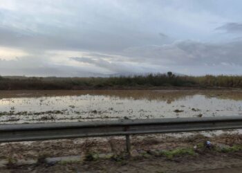 Αγρίνιο:  Συνεργεία του Δήμου Αγρινίου στις πληγείσες περιοχές