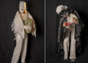 Ο γάτος που έμαθε σε έναν γλάρο να πετάει