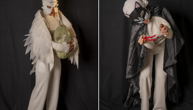 Ο γάτος που έμαθε σε έναν γλάρο να πετάει