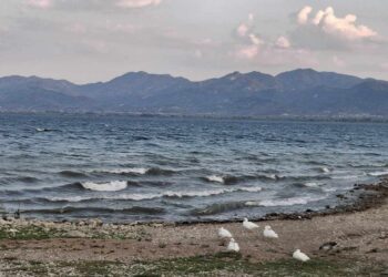 Λ. Μπλέτσας: δεν θα δεχτούμε φαραωνικά έργα στην Τριχωνίδα