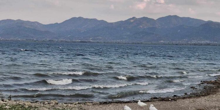 Λ. Μπλέτσας: δεν θα δεχτούμε φαραωνικά έργα στην Τριχωνίδα