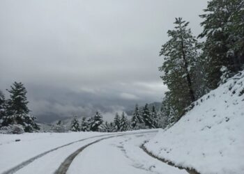 Τροχαίο Κλεπά Ναυπακτίας: «Καταφέραμε και βγήκαμε νικητές» γράφει ένας από τους επιβαίνοντες στο ΙΧ που έπεσε στο γκρεμό