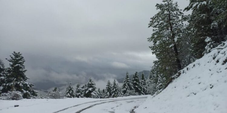 Τροχαίο Κλεπά Ναυπακτίας: «Καταφέραμε και βγήκαμε νικητές» γράφει ένας από τους επιβαίνοντες στο ΙΧ που έπεσε στο γκρεμό