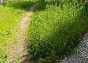 Μουσικό Σχολείο Αγρινίου: « …μια κιθάρα περιμένει έτοιμη να πάρει τα λόγια και να τα ταξιδέψει από χείλη σε χείλη».