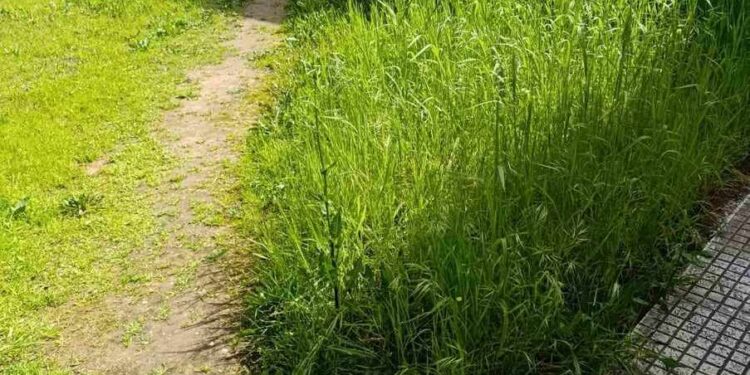 Μουσικό Σχολείο Αγρινίου: « …μια κιθάρα περιμένει έτοιμη να πάρει τα λόγια και να τα ταξιδέψει από χείλη σε χείλη».