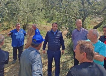 Θανάσης Παπαθανάσης: Άμεση η ανταπόκριση της πολιτείας – Δίπλα στους πληγέντες παραγωγούς της Αιτωλοακαρνανίας