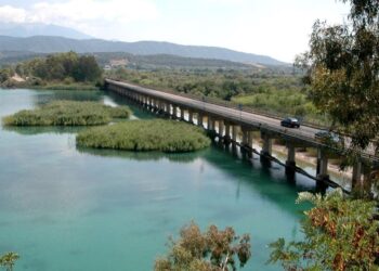 Αγρίνιο: μεγάλη κινητοποίηση της πυροσβεστικής και της ΕΜΑΚ για την διάσωση σκύλου στην γέφυρα Αχελώου