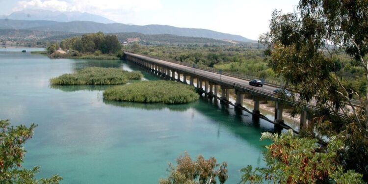 Αγρίνιο: μεγάλη κινητοποίηση της πυροσβεστικής και της ΕΜΑΚ για την διάσωση σκύλου στην γέφυρα Αχελώου