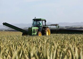 Πρώτη «καμπάνα» €392 εκατ. από την Ευρωπαϊκή Ένωση για τον ΟΠΕΚΕΠΕ – Πώς θα πληρωθεί